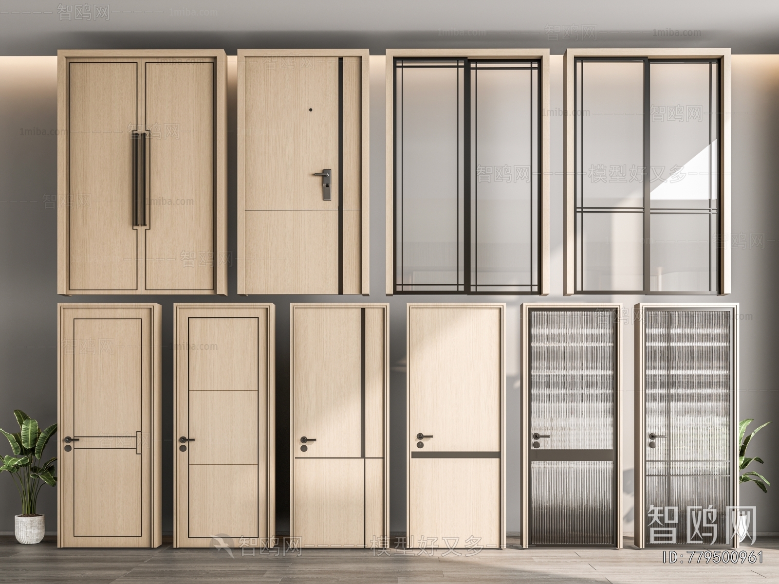 Modern Entrance Door