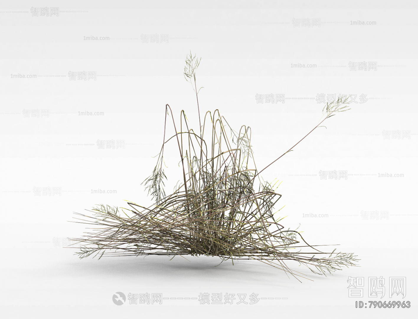 Modern The Grass