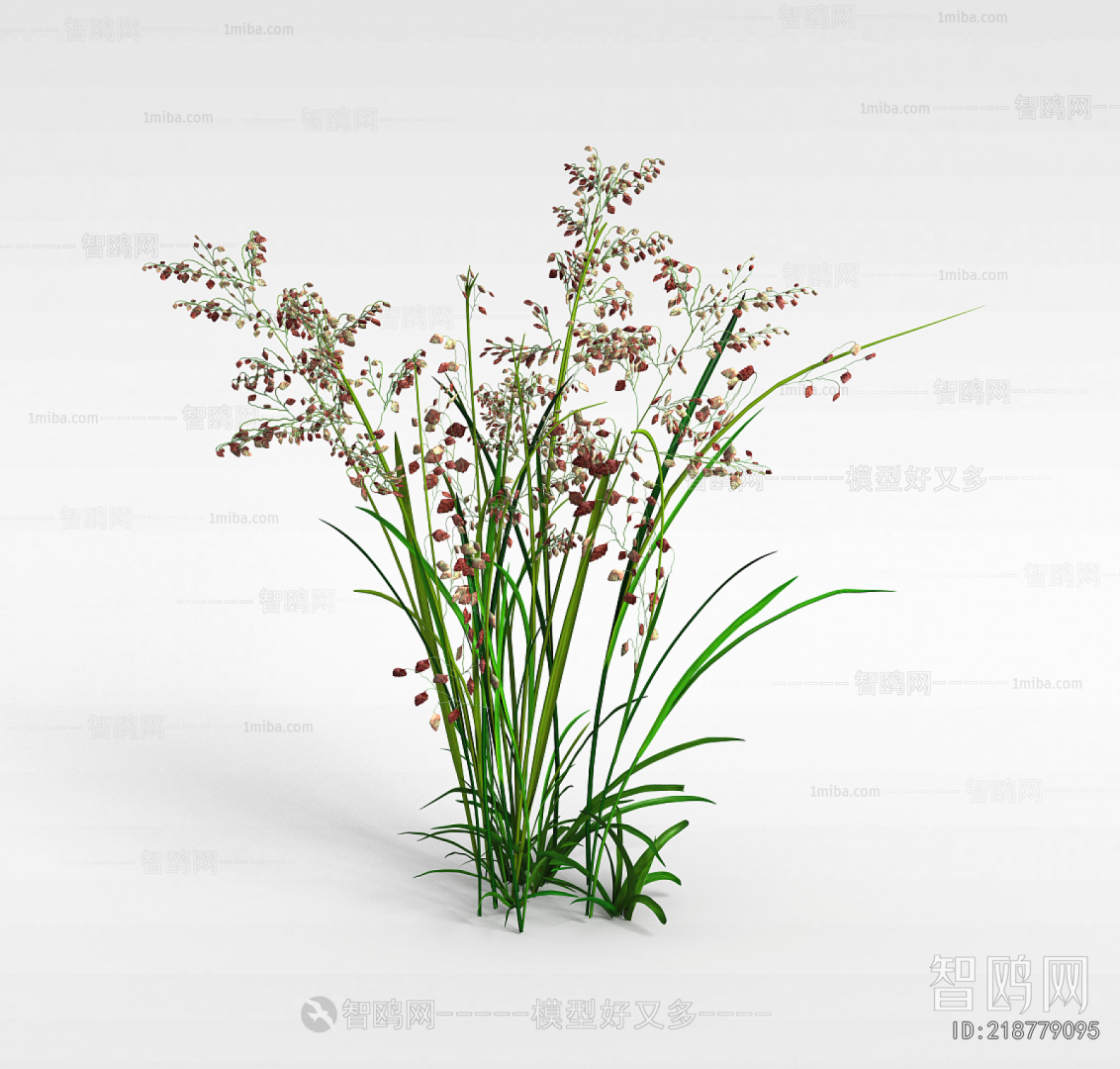 Modern Flowers And Grass