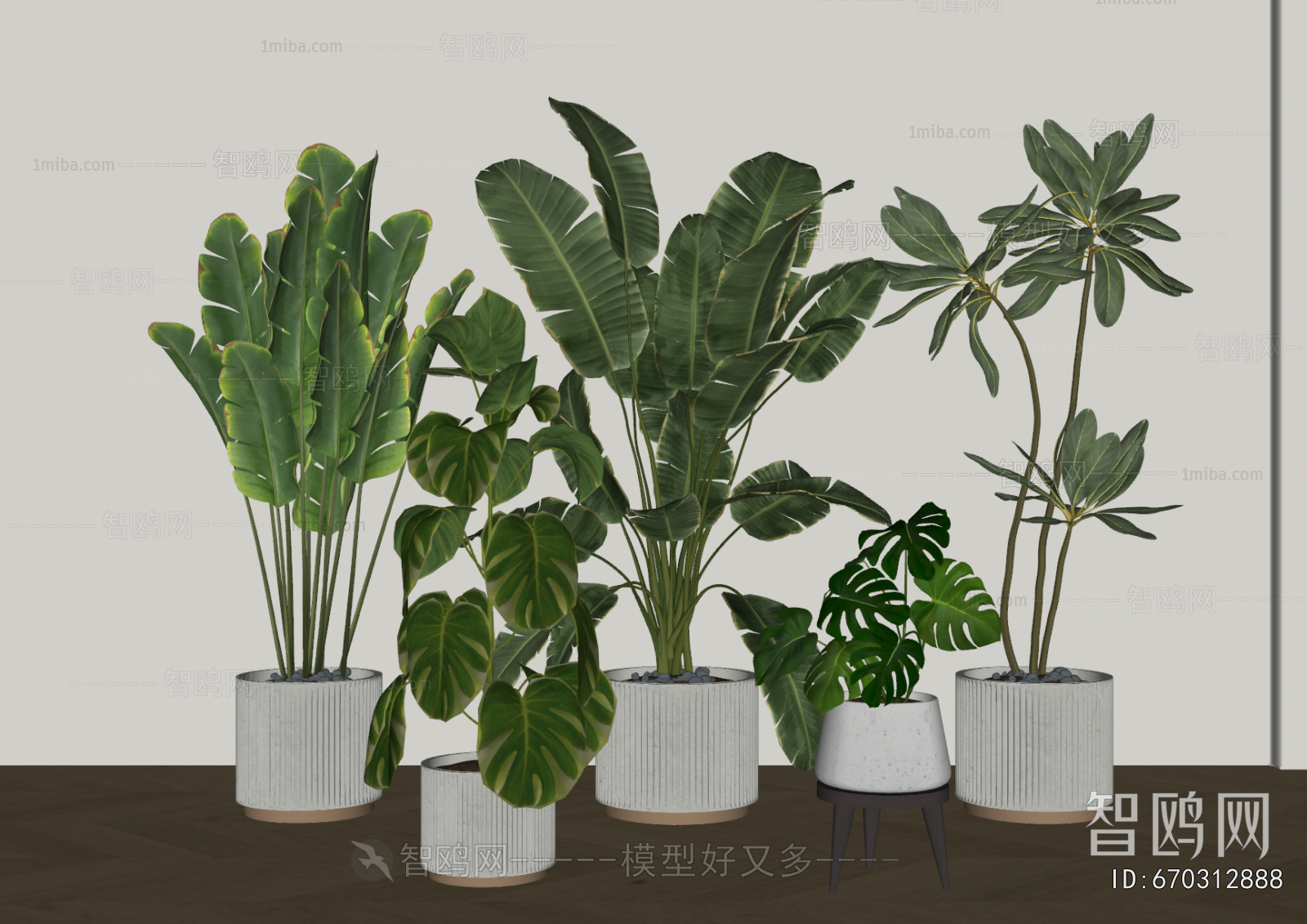 Modern Ground Green Plant Potted Plants