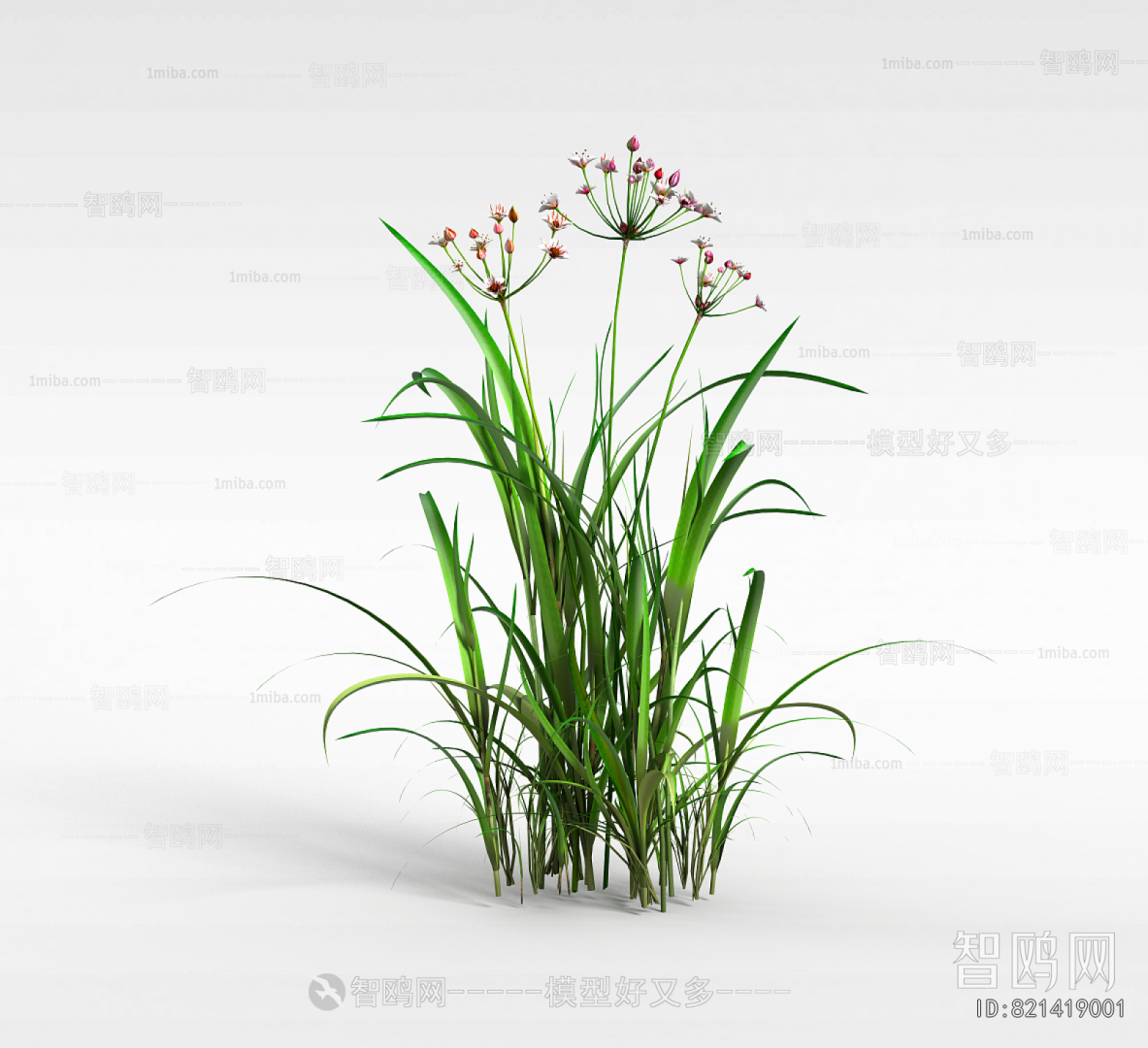 Modern Flowers And Grass