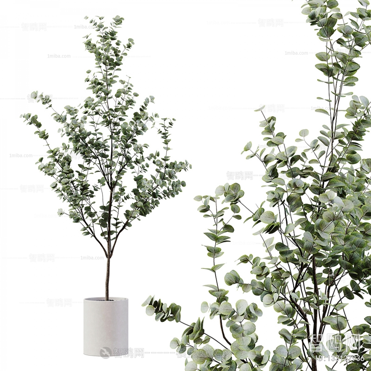 Modern Ground Green Plant Potted Plants