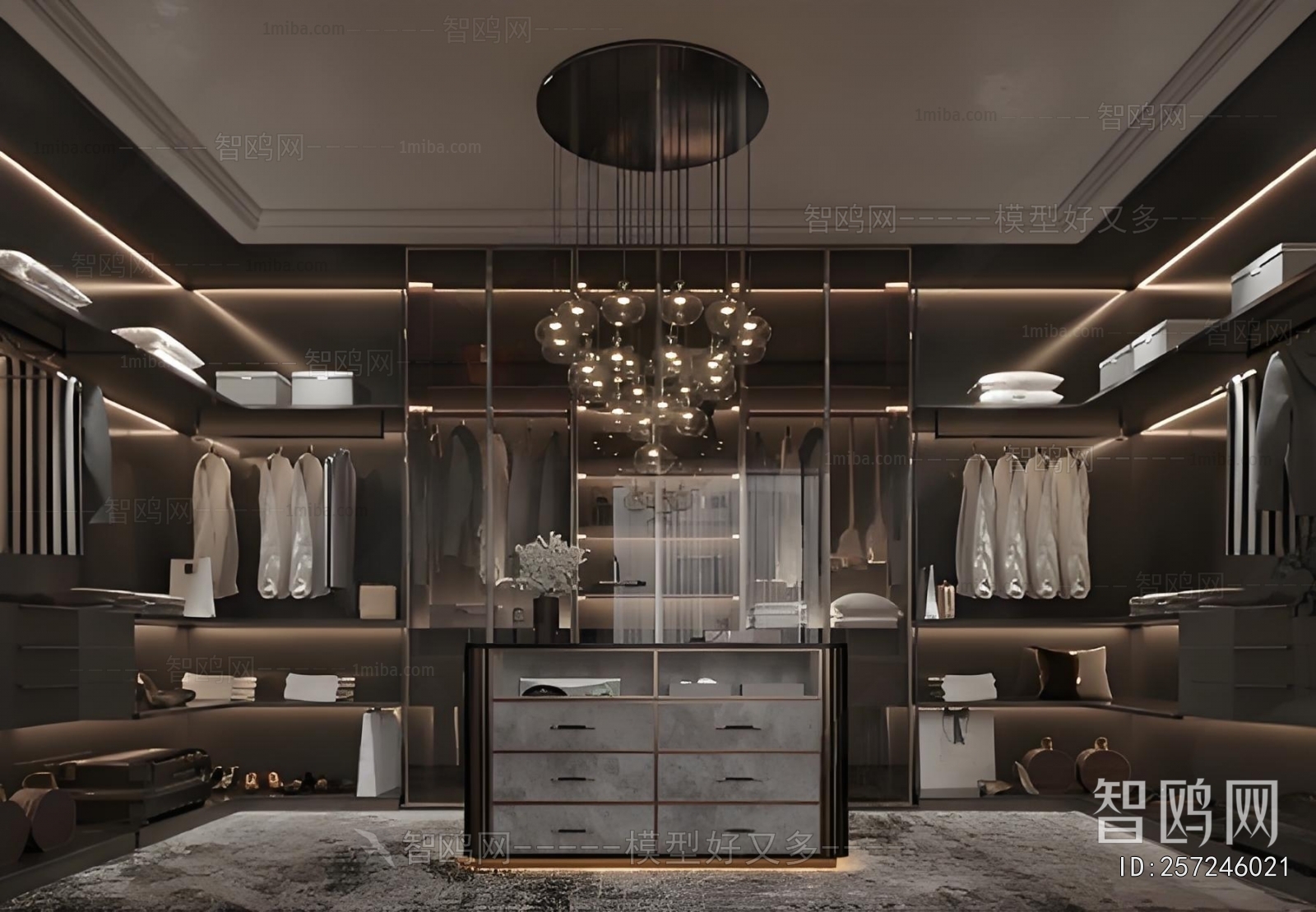 Modern Clothes Storage Area