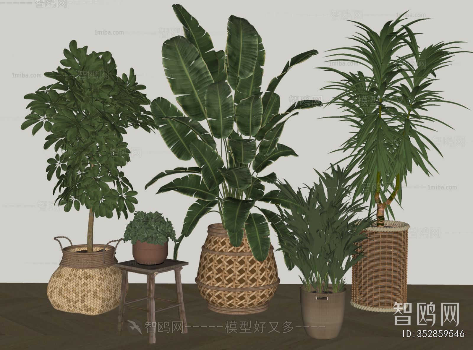 Modern Ground Green Plant Potted Plants