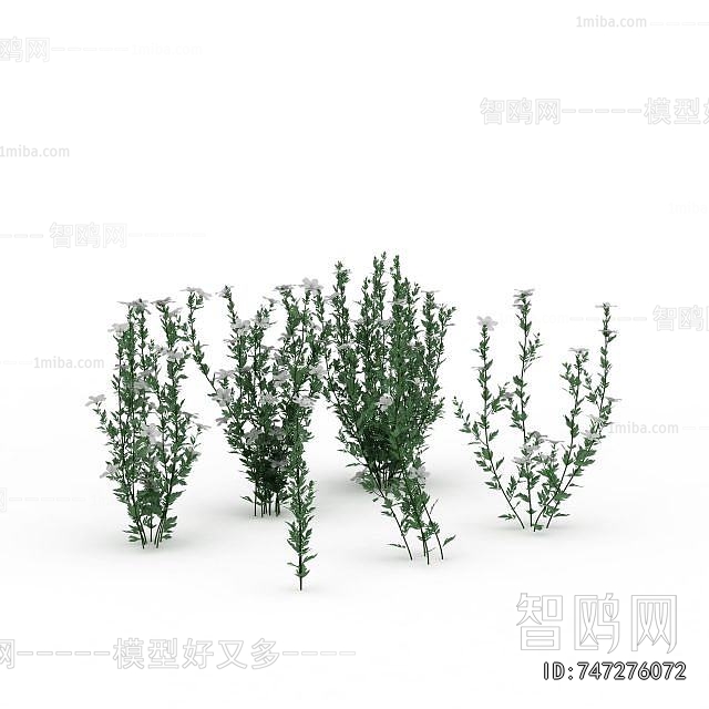 Modern Flowers And Grass