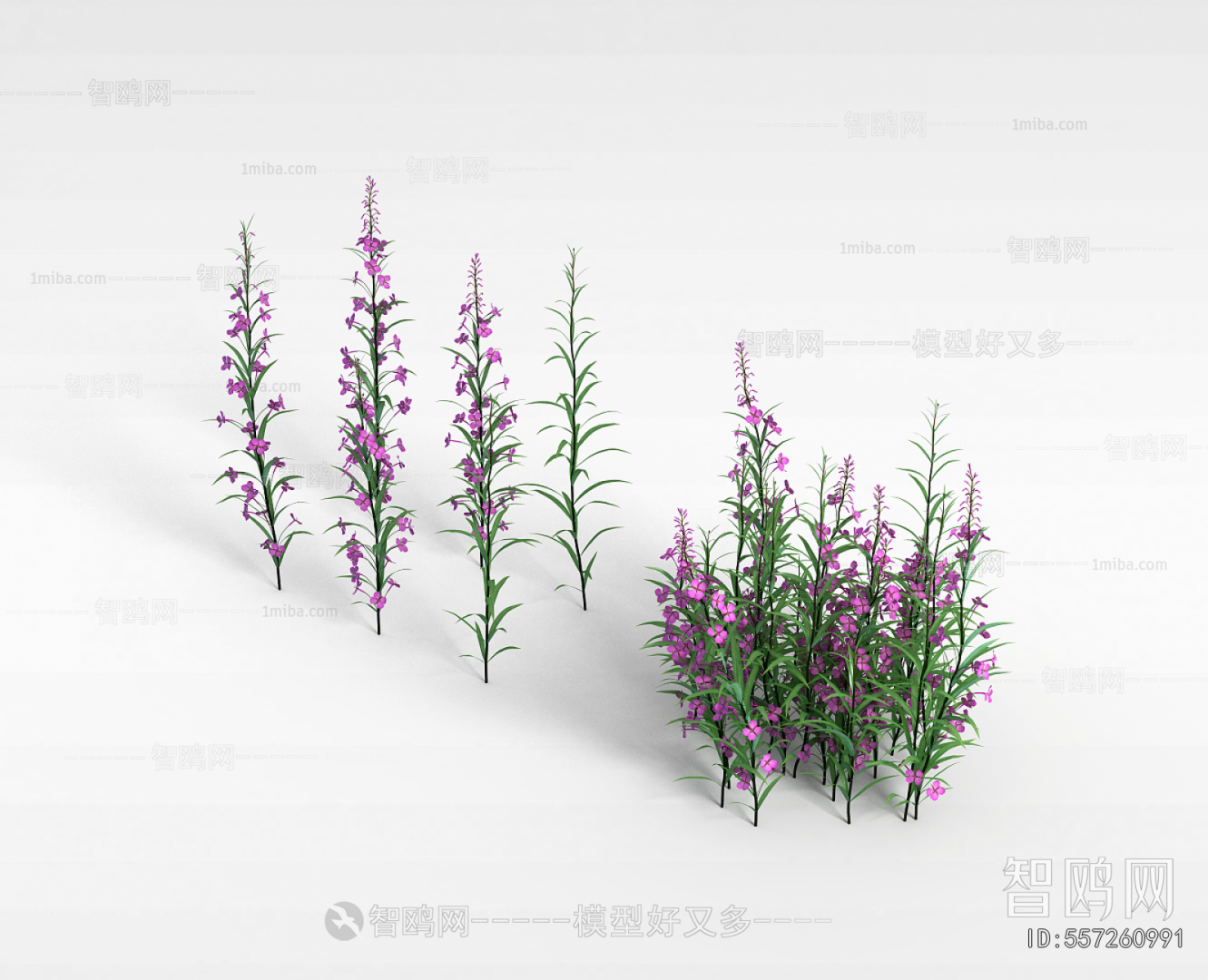 Modern Flowers And Grass