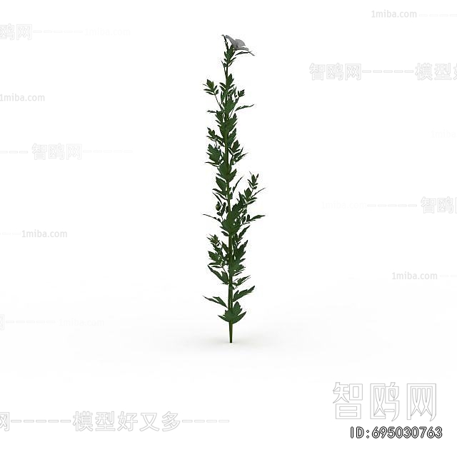 Modern Flowers And Grass