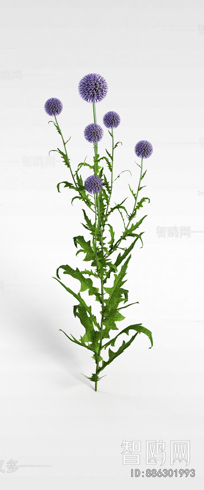 Modern Flowers And Grass