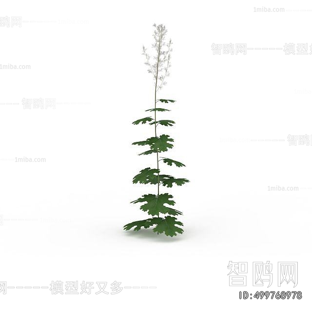 Modern Flowers And Grass