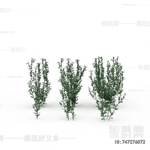 Modern Flowers And Grass