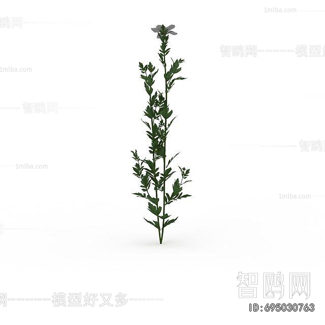 Modern Flowers And Grass