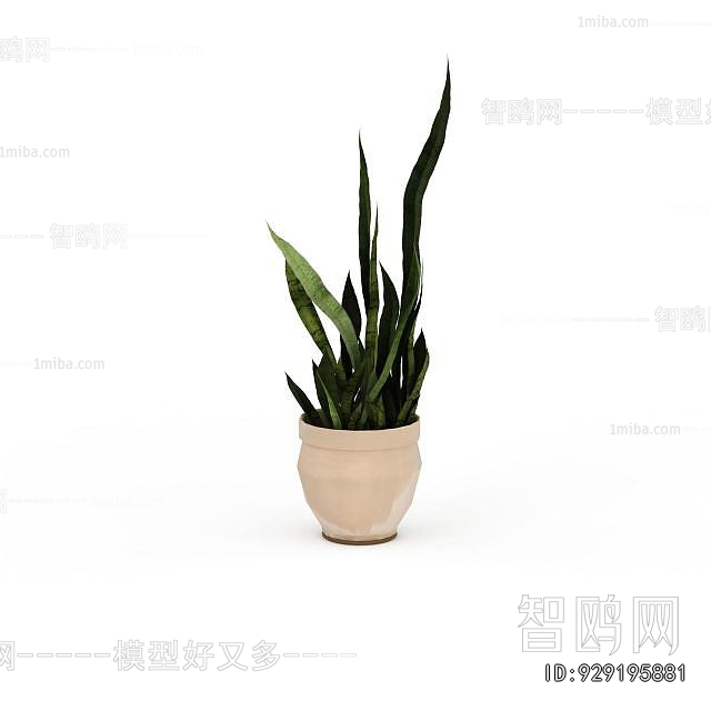 Modern Desktop Plant