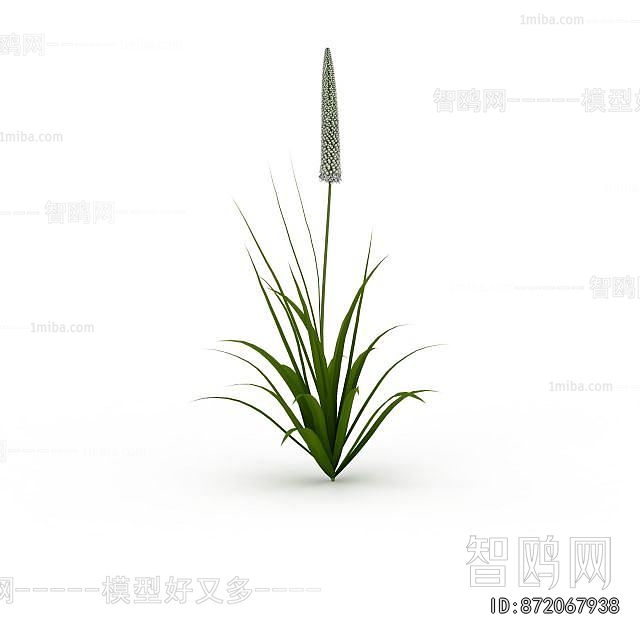 Modern Flowers And Grass