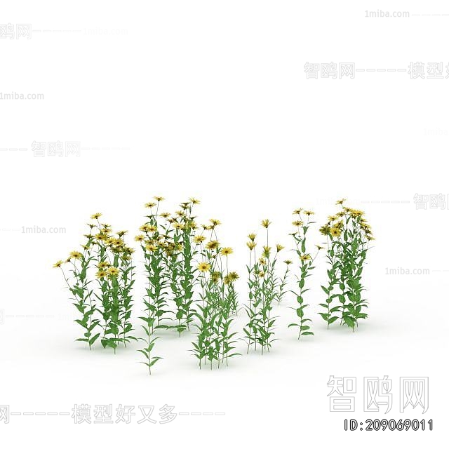 Modern Flowers And Grass