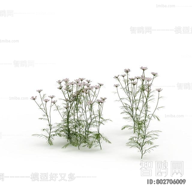 Modern Flowers And Grass