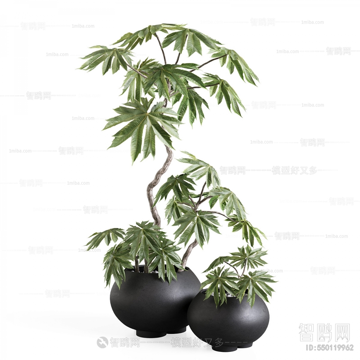 Modern Potted Green Plant