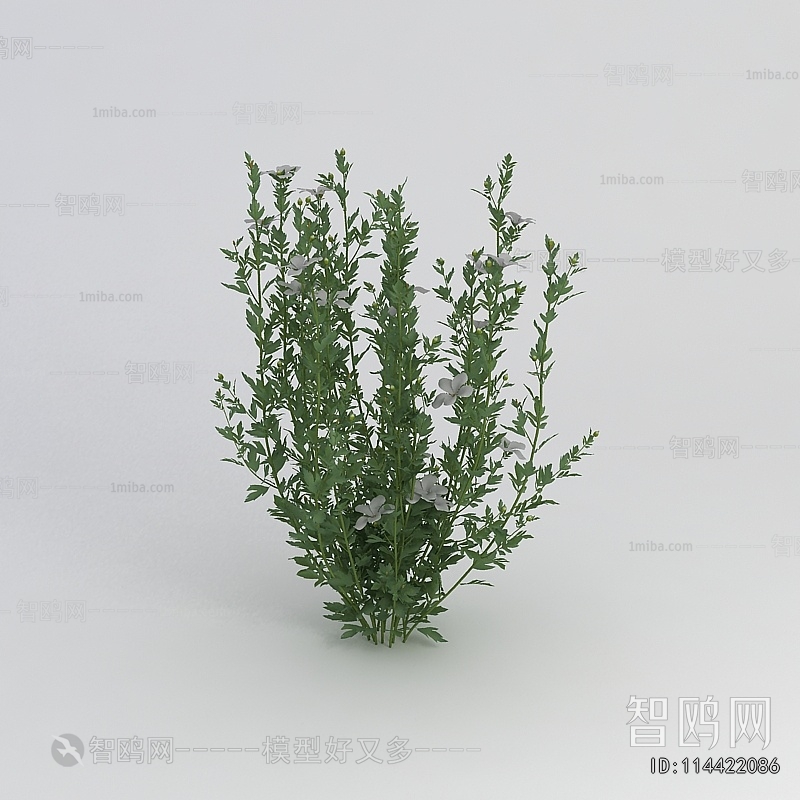 Modern Flowers And Grass