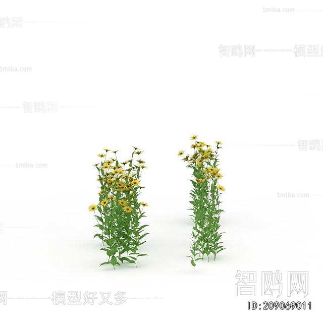 Modern Flowers And Grass