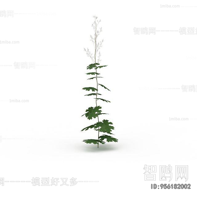 Modern Flowers And Grass