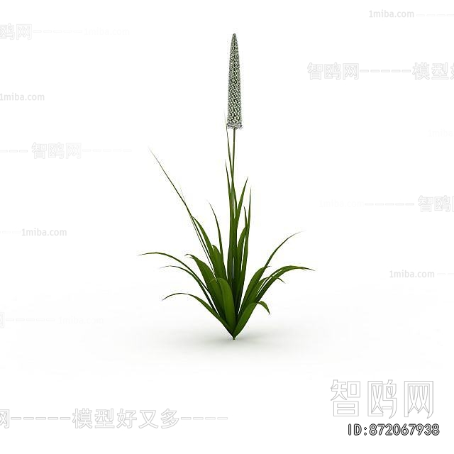 Modern Flowers And Grass
