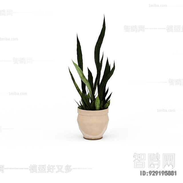 Modern Desktop Plant