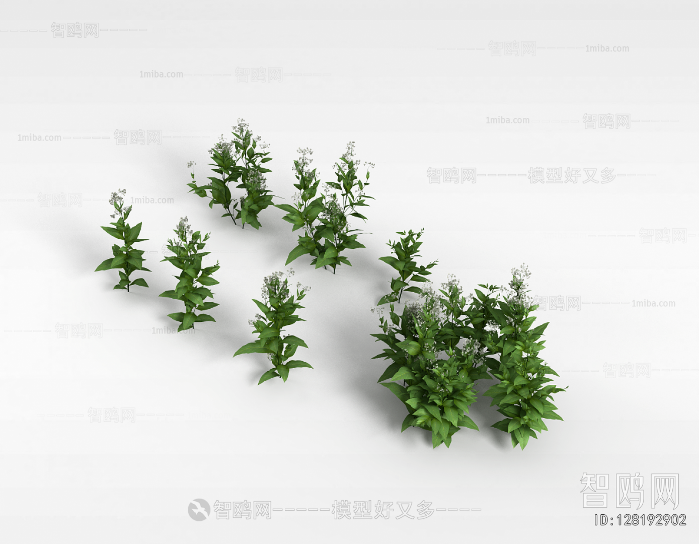 Modern Flowers And Grass