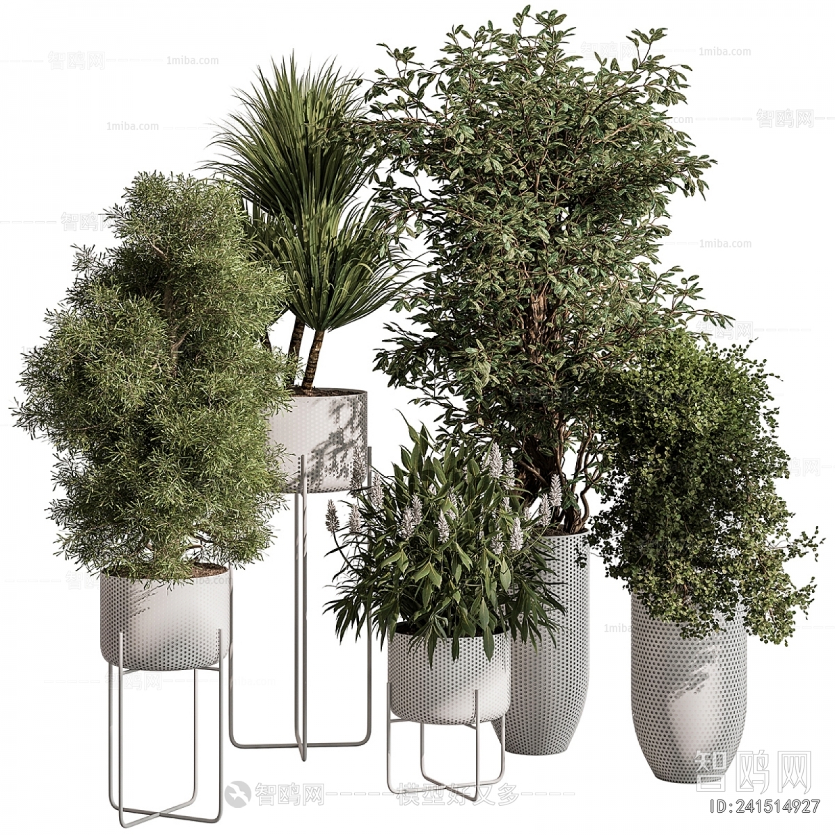 Modern Ground Green Plant Potted Plants
