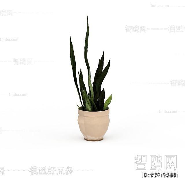 Modern Desktop Plant