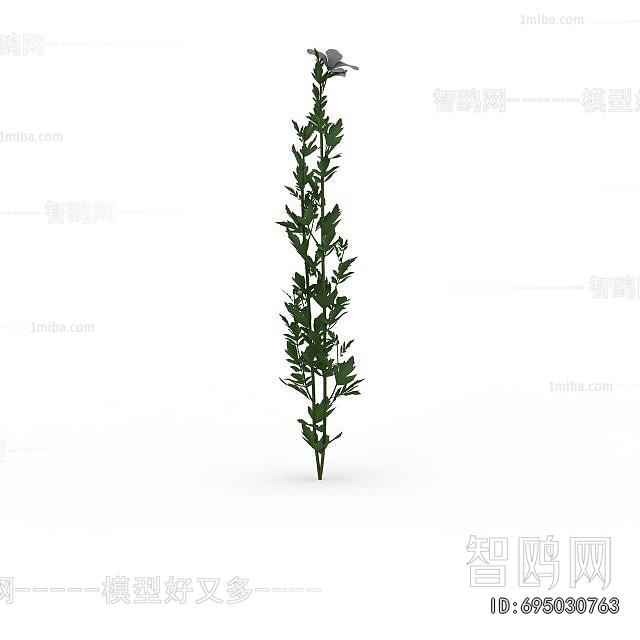 Modern Flowers And Grass