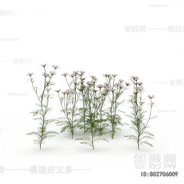 Modern Flowers And Grass