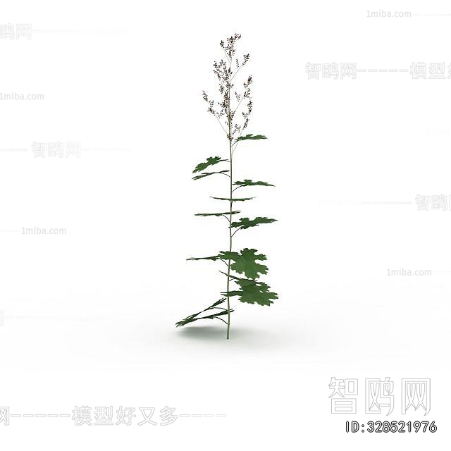 Modern Flowers And Grass