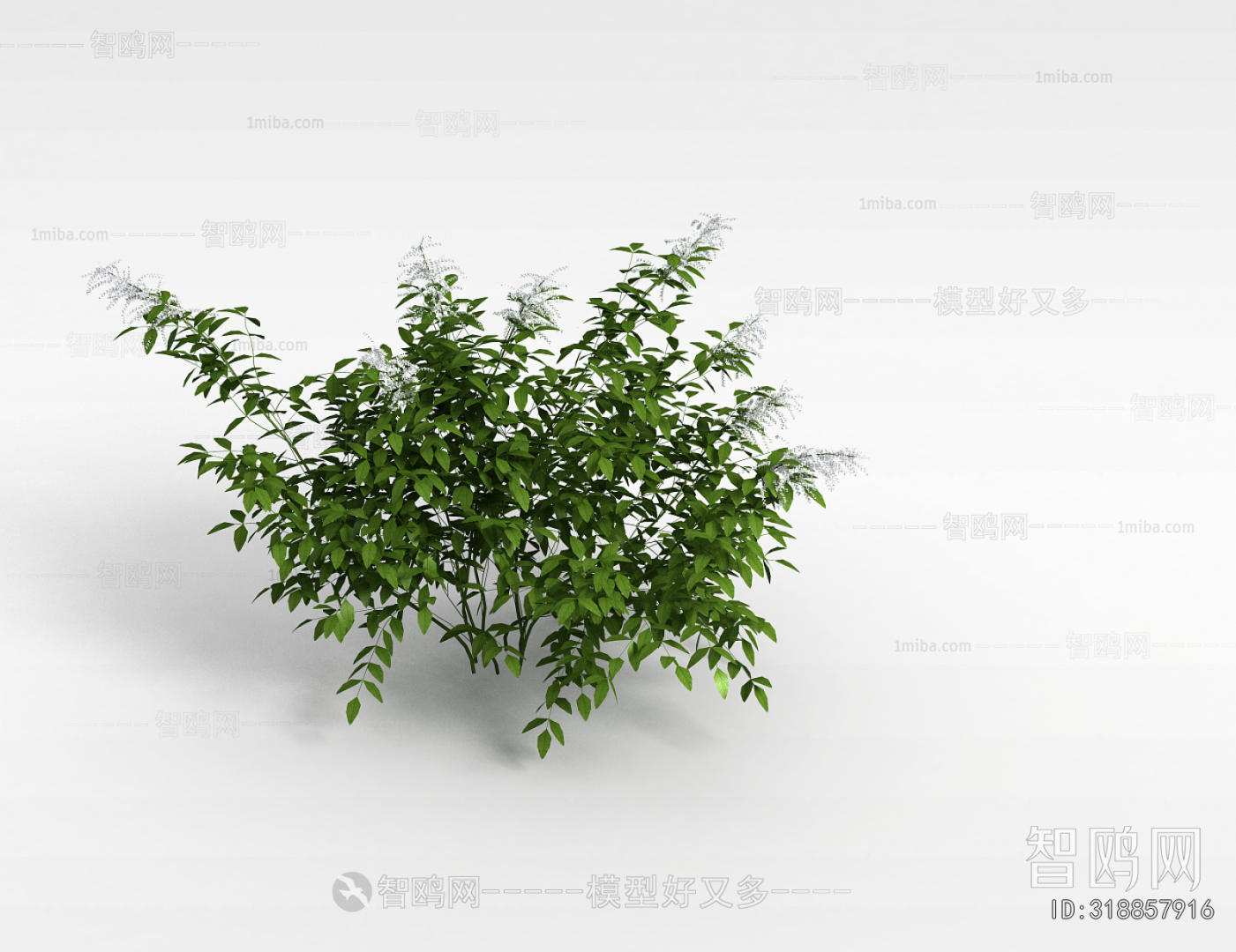 Modern Flowers And Grass