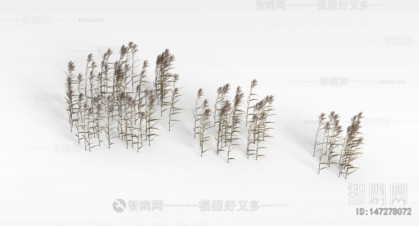 Modern The Grass
