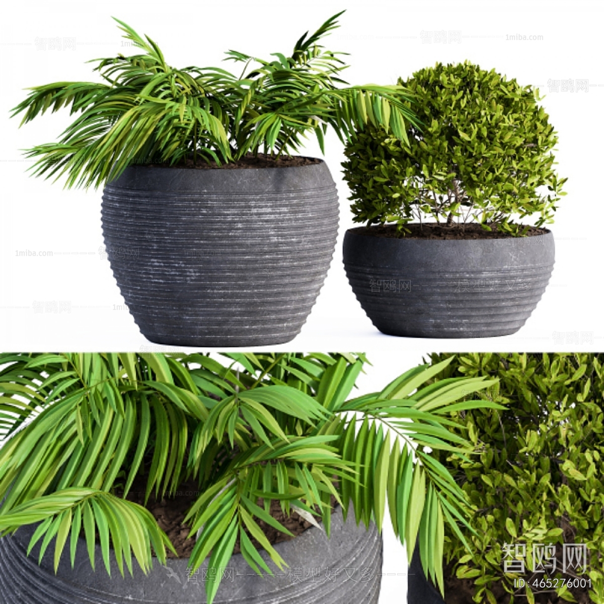 Modern Ground Green Plant Potted Plants