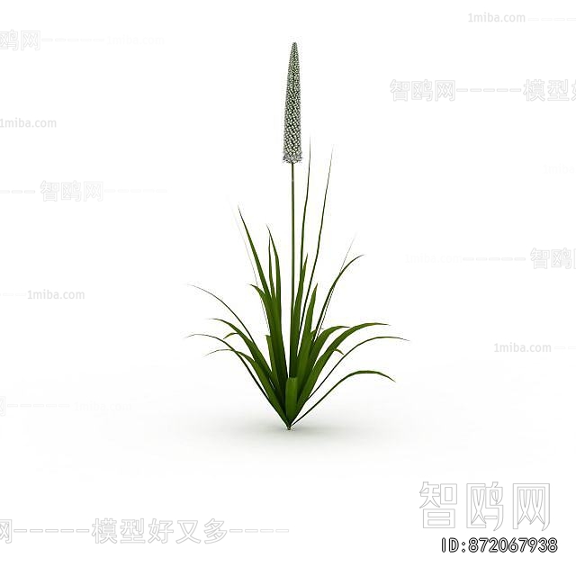 Modern Flowers And Grass