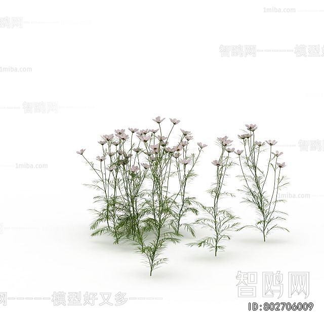 Modern Flowers And Grass