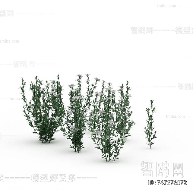 Modern Flowers And Grass