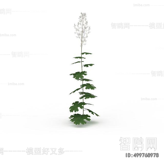 Modern Flowers And Grass