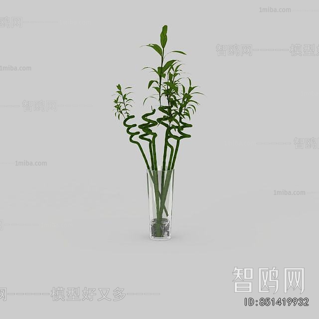 Modern Aquatic Green Plant