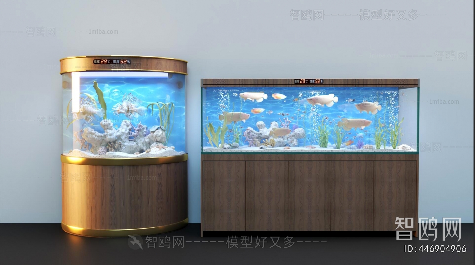 Modern Fish Tank