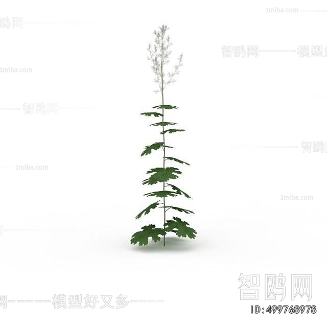 Modern Flowers And Grass