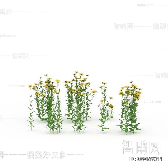 Modern Flowers And Grass