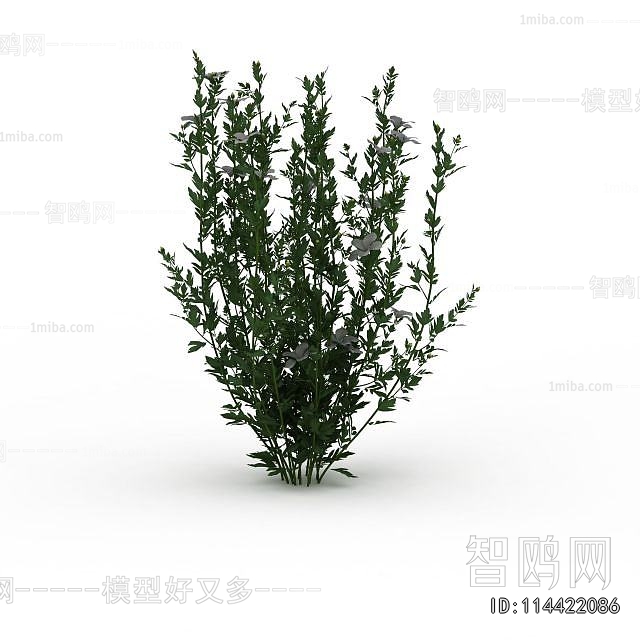 Modern Flowers And Grass