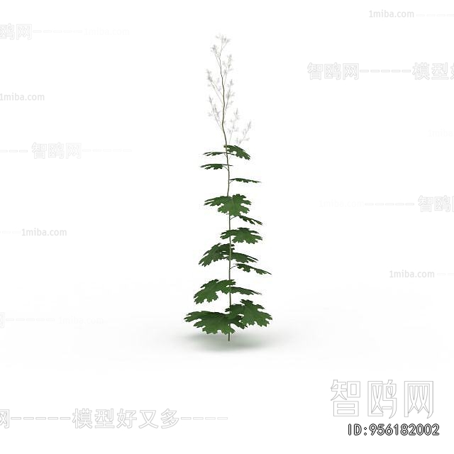 Modern Flowers And Grass