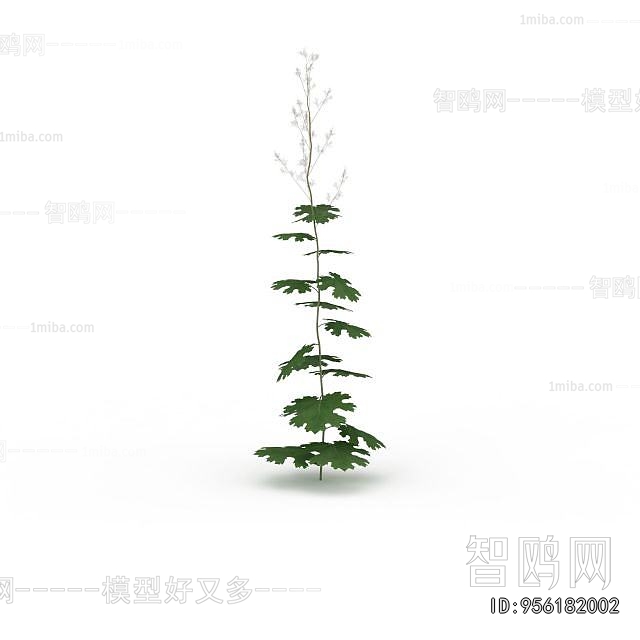 Modern Flowers And Grass