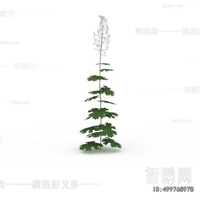 Modern Flowers And Grass