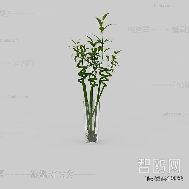 Modern Aquatic Green Plant