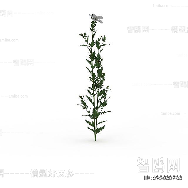 Modern Flowers And Grass