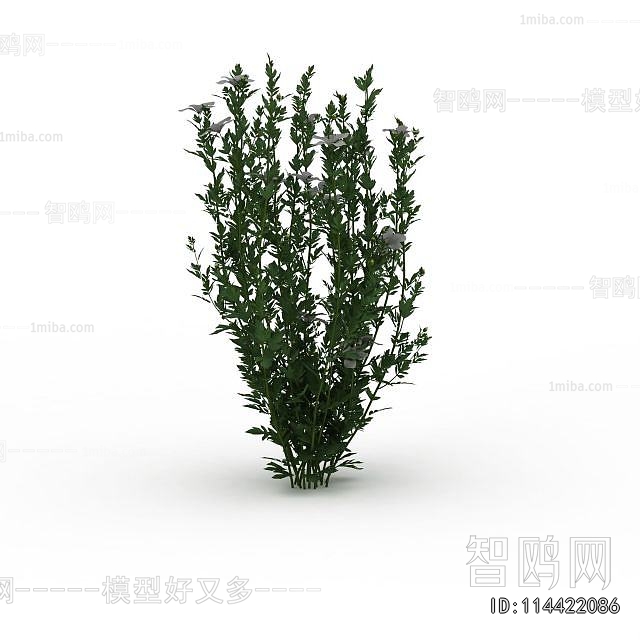 Modern Flowers And Grass