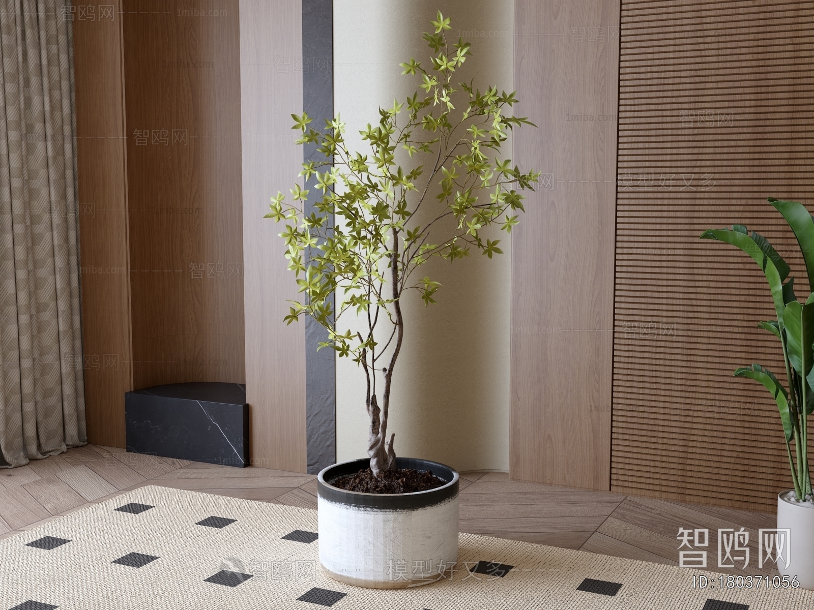 Modern Ground Green Plant Potted Plants